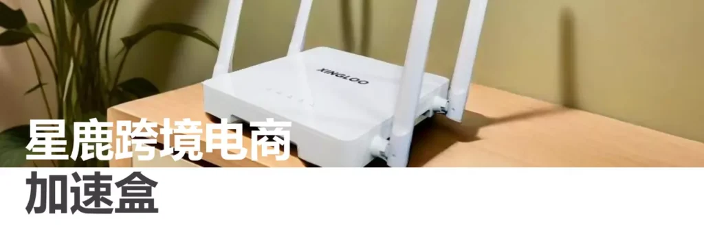 代理IP新宠?越南IP线路有何魅力 代理IP新宠?越南IP线路有何魅力